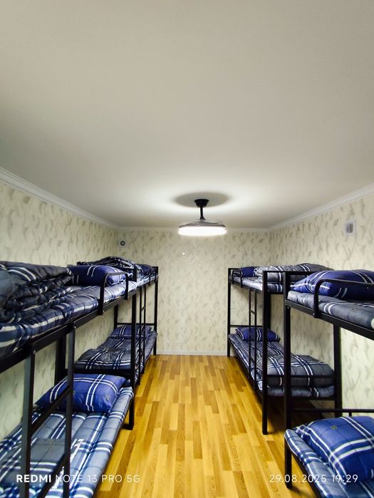 Arenda kvartira talaba qizlar uchun ijaraga beriladi