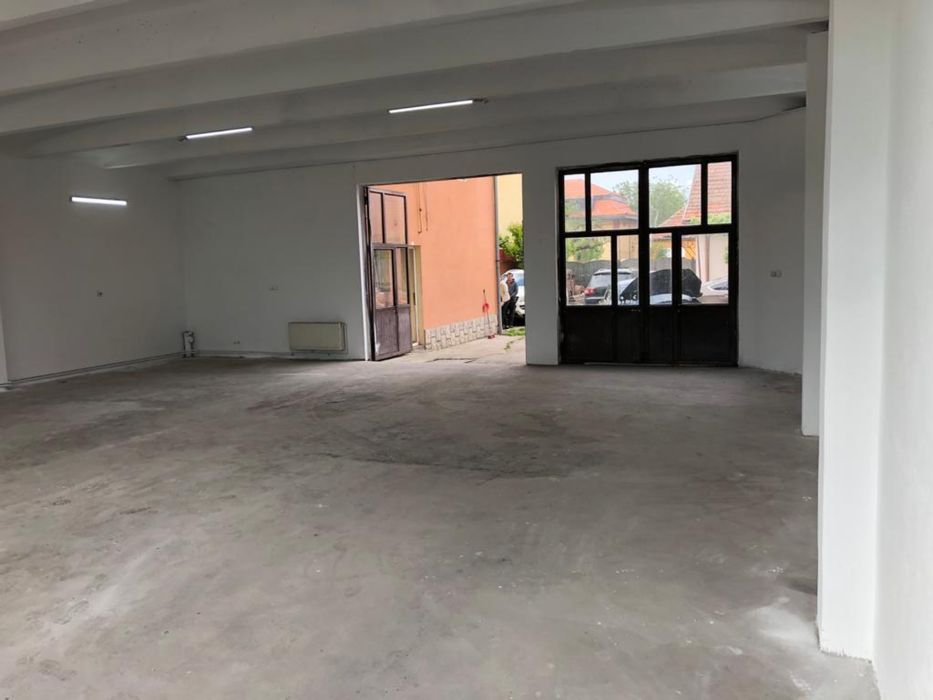 Casa de vanzare cu hala pretabil afacere