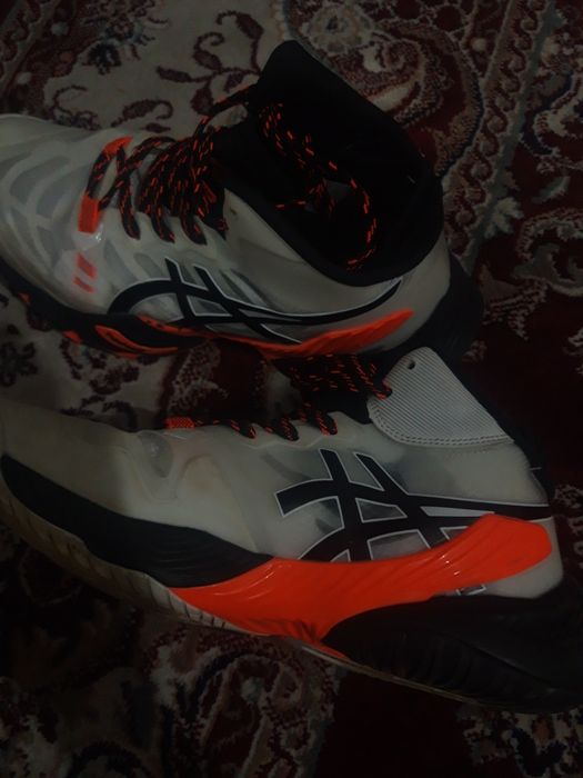 Шымкент каласы 3990тг