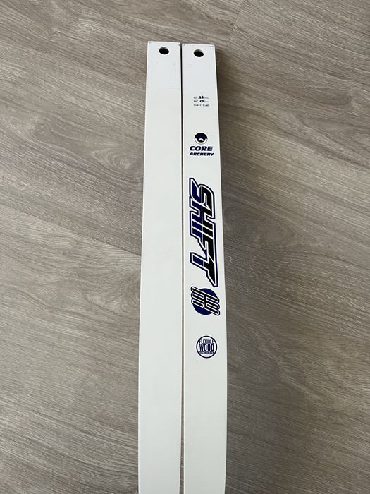 Arc și săgeți tir sportiv