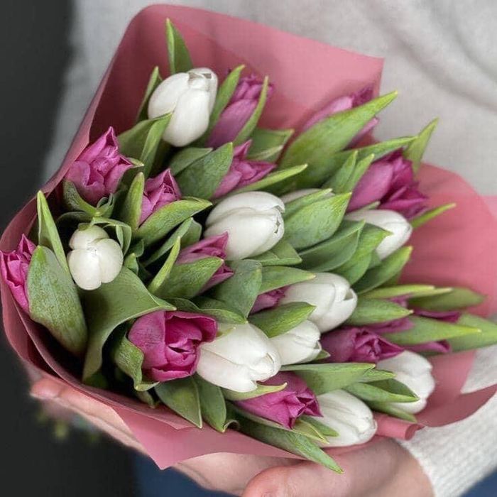 Голландские Тюльпаны Оптом