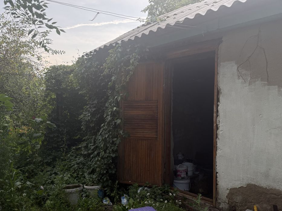 Дача Ск руно алтын