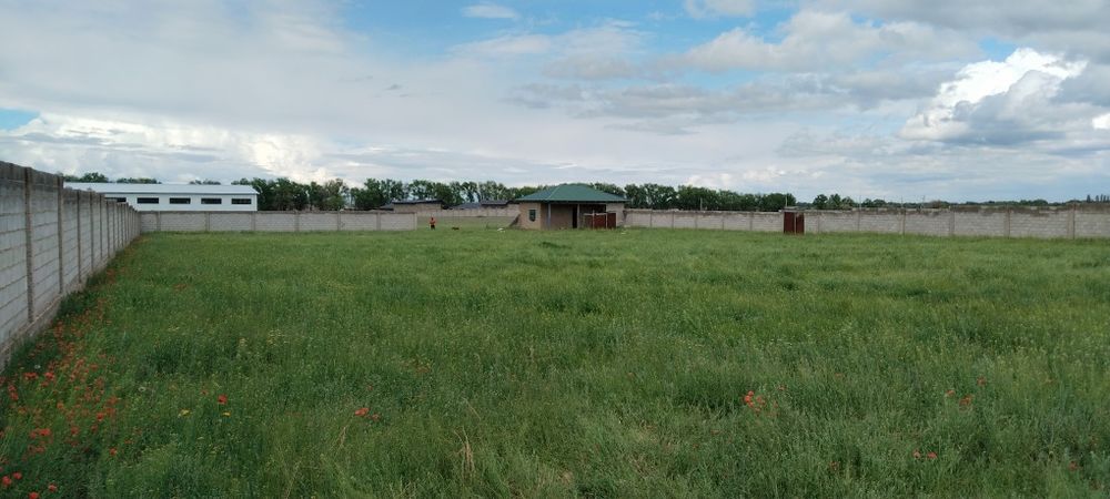 Продам коммерческие помещение 50 соток