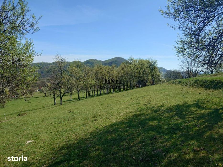 Teren intravilan si extravilan Luncoiu de Jos