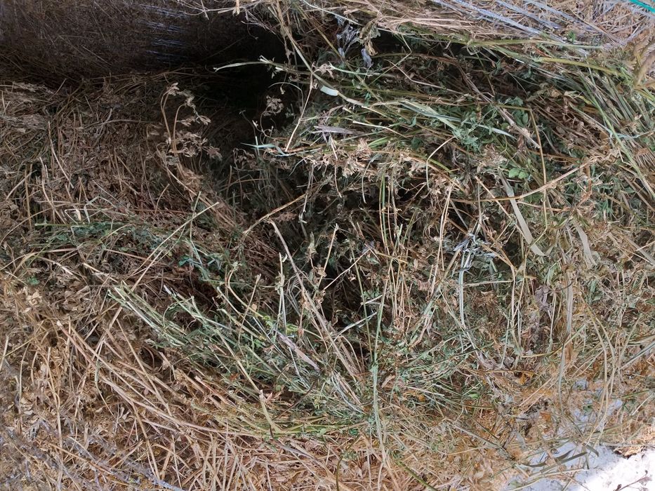 Baloti  lucerna, paie si coceni