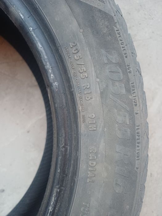 205 .55 р 16 Мотодор