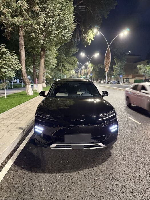 BYD song plus champion