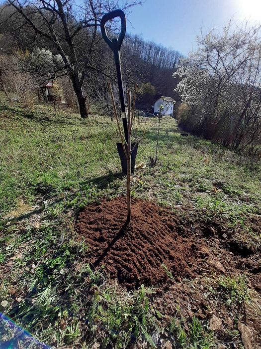 Продава се Къща в с. Луково, Област София-област - 80 кв.м за 765 €/кв.м - Снимка #10