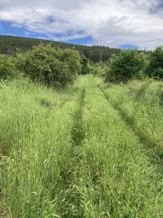 Продава се Парцел в Стара Загора, Самара 3 - 2450 кв.м за 10 €/кв.м - Снимка #3