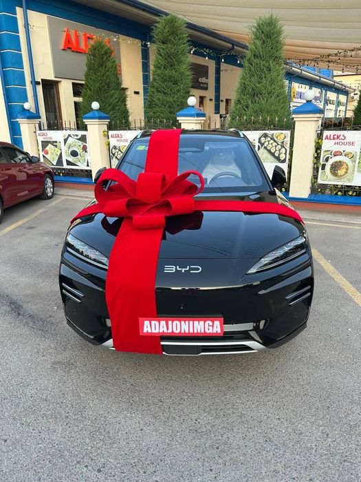 Avtobant, lenta, bantik, Avtobantik