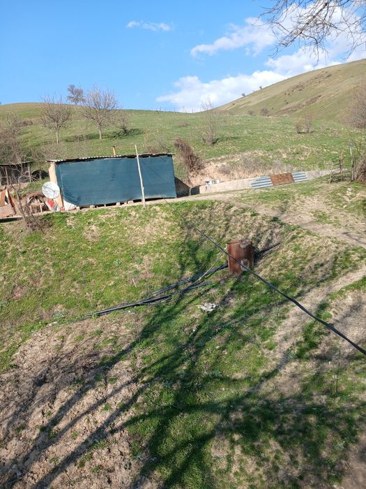 Dala xovli satiladi 30 uy