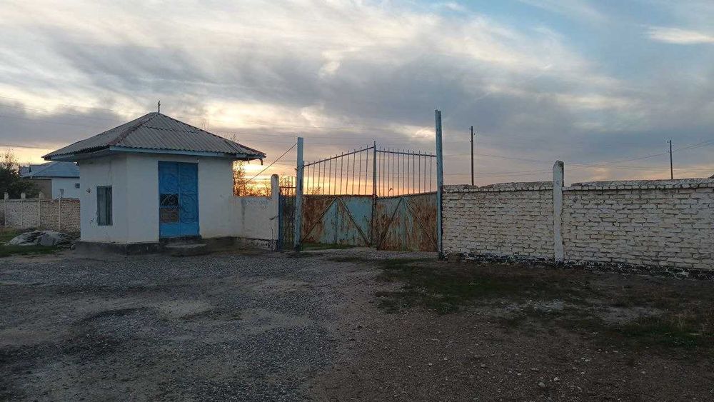 Jomboy tumanida yer sotiladi. 71 sotok. Land for sale near Samarkand.