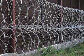 Егоза Yegoza Егоза