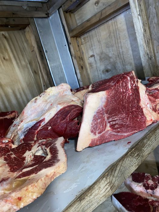 3 елі қазысымен донен сатамын! Байтал емес!