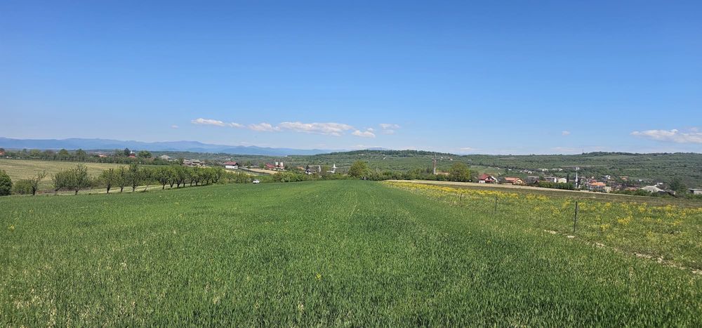 Vand teren extravilan Somcuta mare 400e/ ar