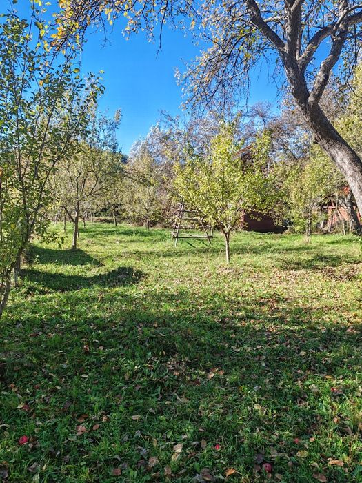 Parcelă teren pentru vânzare