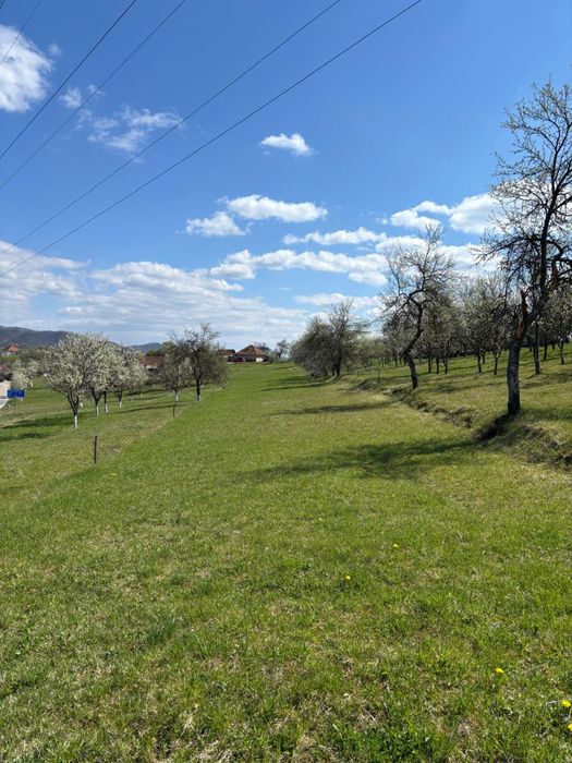 Terenuri Valisoara Hunedoara