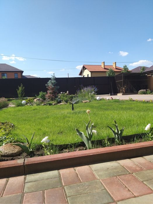 Благоустройство, озеленение участков , газон