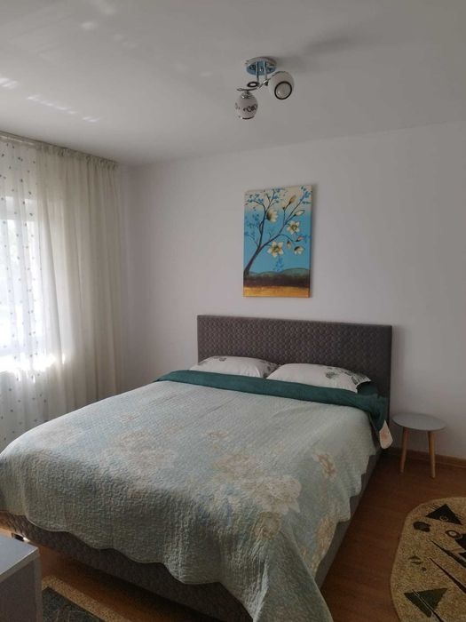 Apartament Miruna cazare in regim hotelier si tranzit