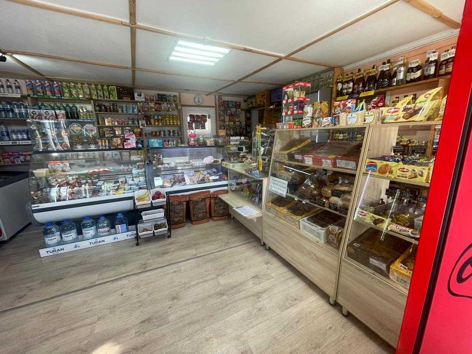 дом + магазин в Тепличном