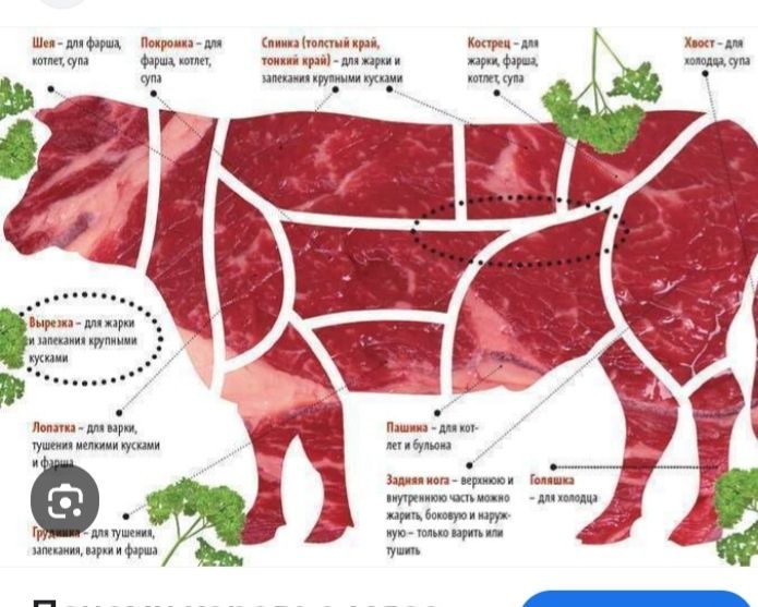 Ищу инвестора для бизнеса