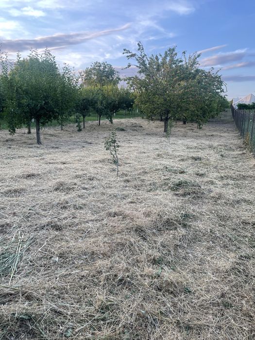 Casa cu teren 2500mp in zona de sud a Bucurestiului