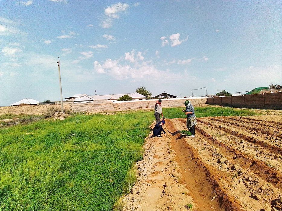 Зудлик билан ховли сотилади 5 хонали уйи мавжуд 20 сотих  ер майдон