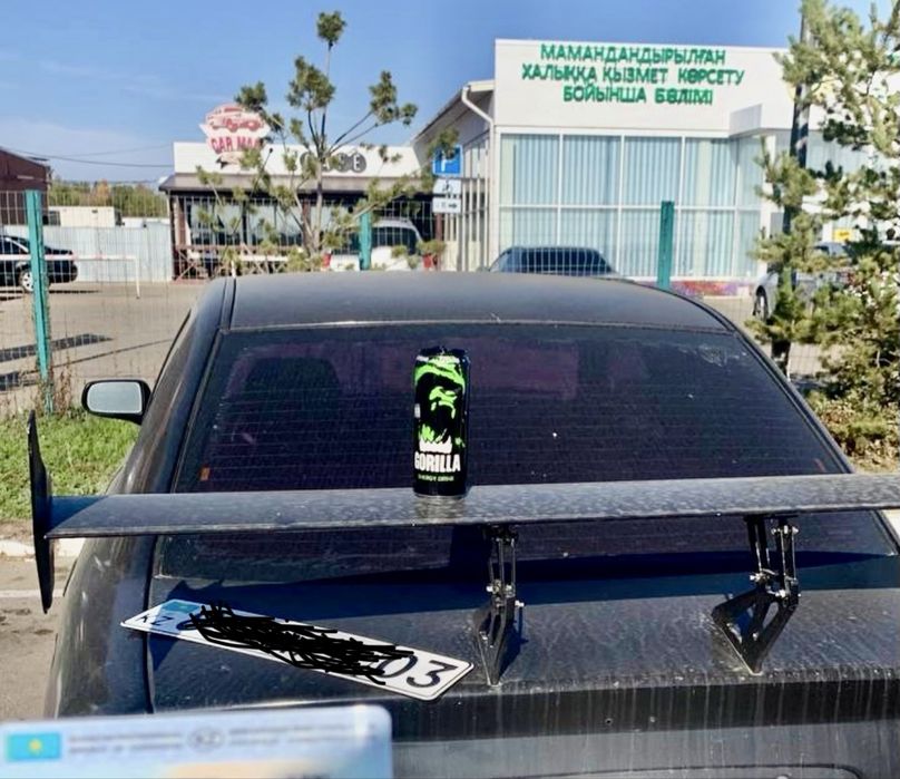 Спойлер универсальный