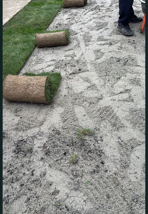 Gazon natutal direct de la producator / pret minim