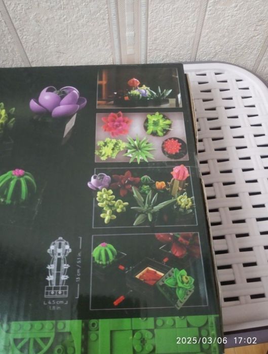 Конструктор суккуленты