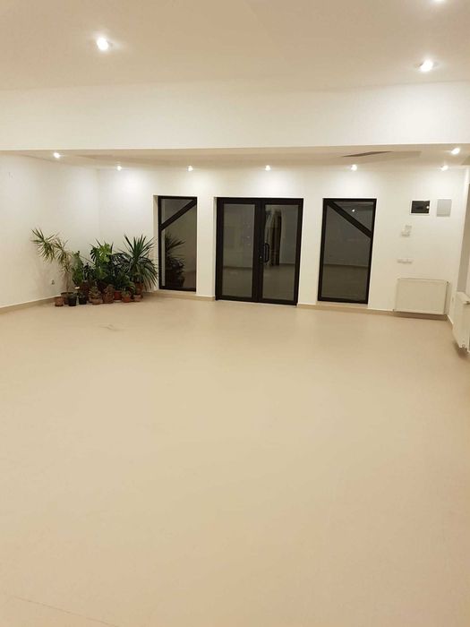 Spatiu comercial in zona Penny