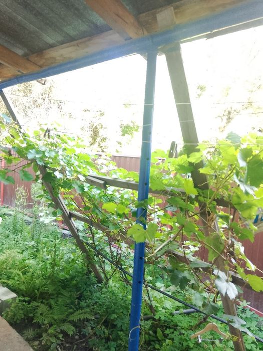 Продам дом в Ешкеульмесе.