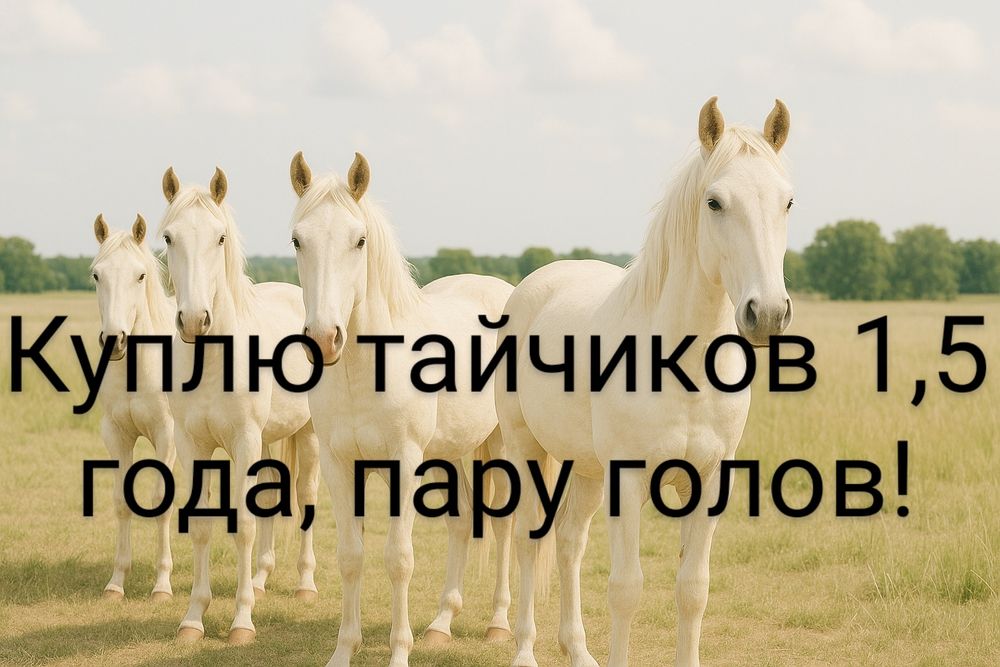 Тайчики 1,5 года