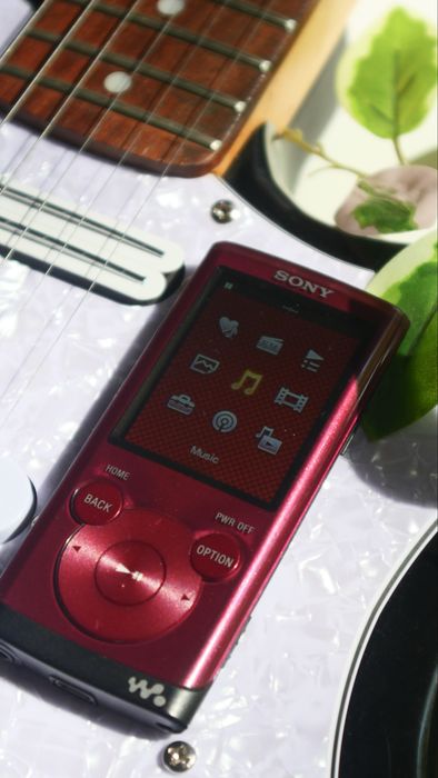 SONY Walkman NWZ-E354