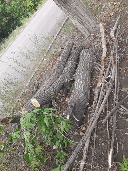 мы продаем древесину