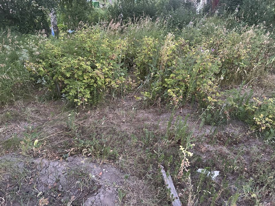 Продается дача ст Сетевик