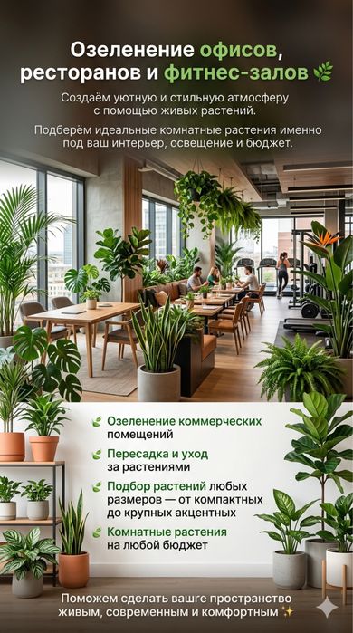 Озеление, цветы в офис