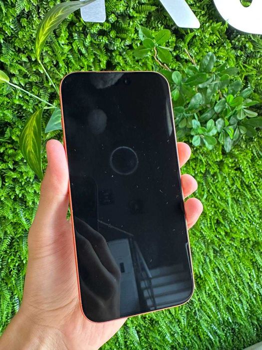 iPhone 17 Pro Max 256Gb 100%