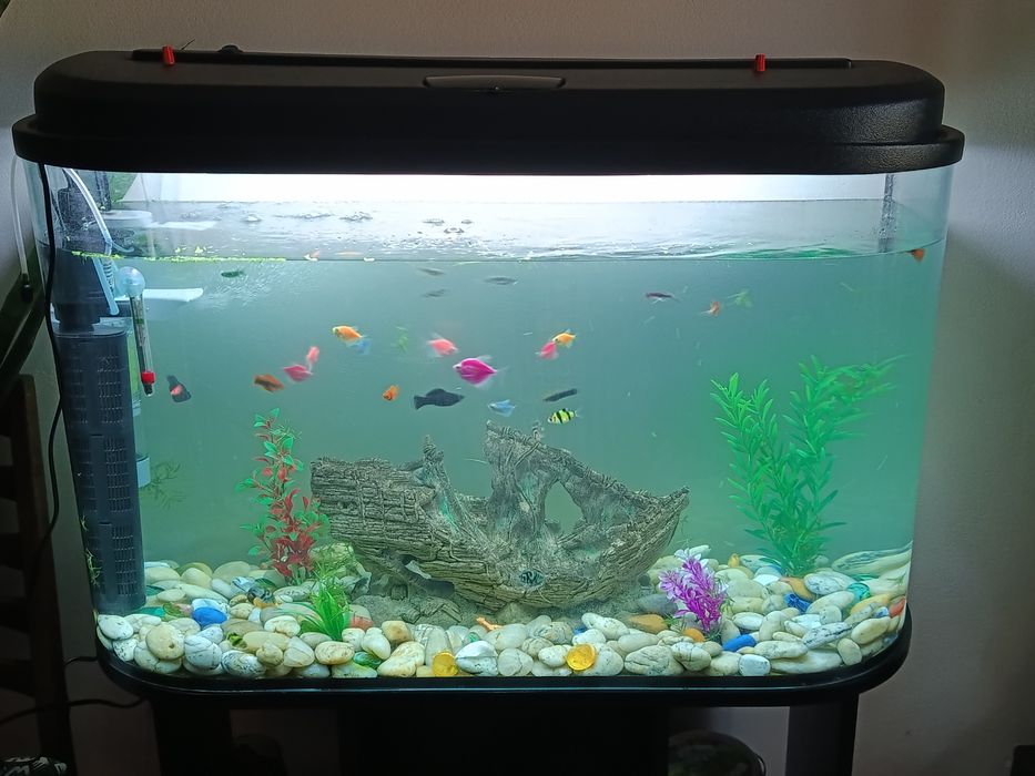 Продам аквариум с рыбками 120л.