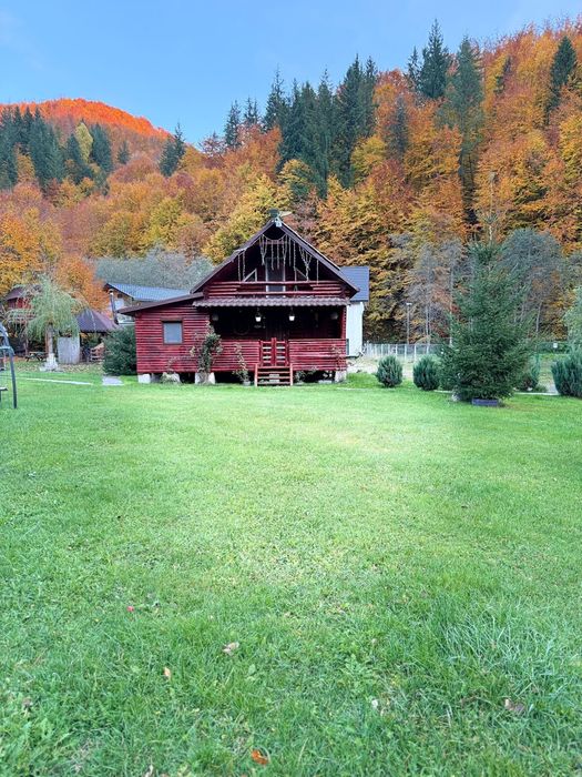 Cabana de închiriat Munții Țibleș | 5 camere | Ciubăr | Piscină | BBQ | ATV & biciclete