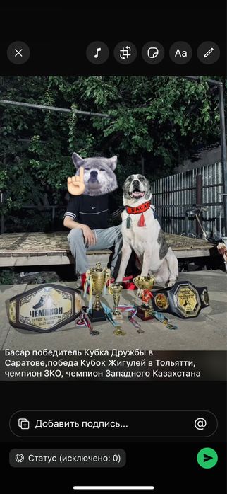 Алабай тяж бронь щенки