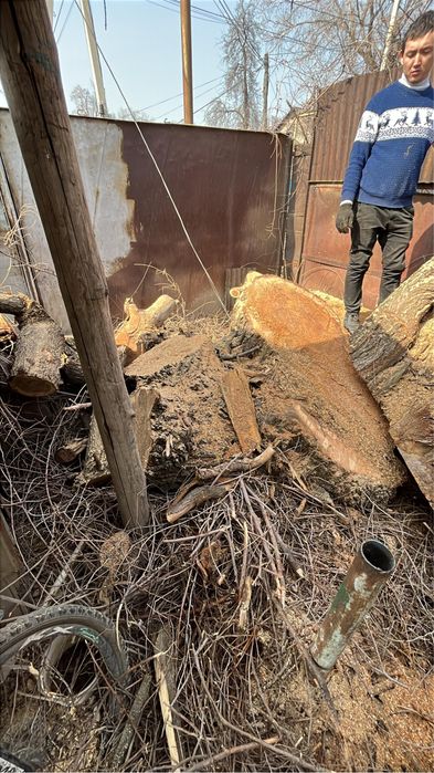 Отдам бесплатно дрова