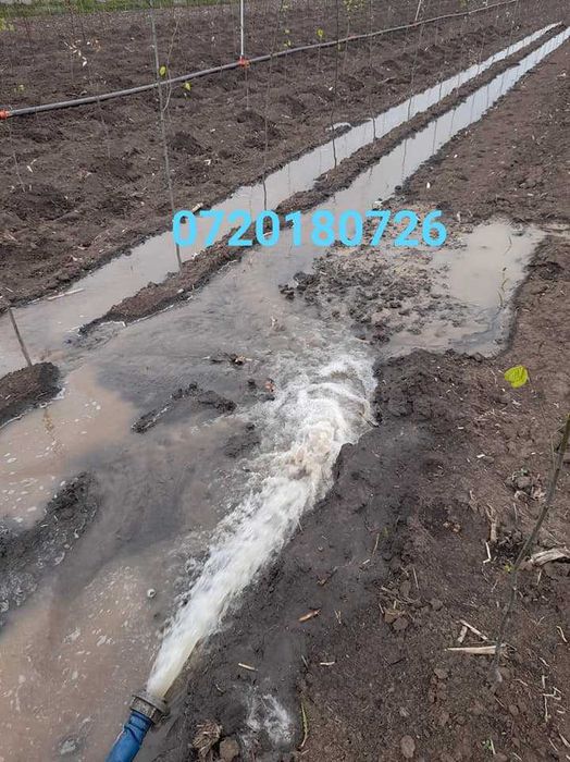 Foraje puturi apa / Rapid si sigur