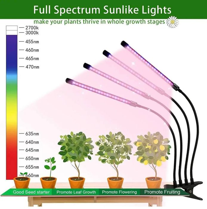 Фитолампы для растений