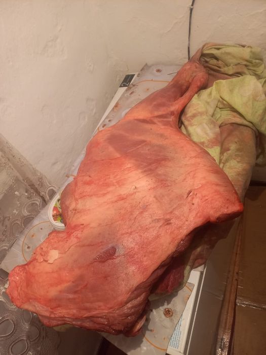 Тайдың сан еті сатылады