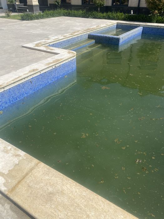 Профессиональное обслуживание бассейна ,чистка , подготовка к запуску.