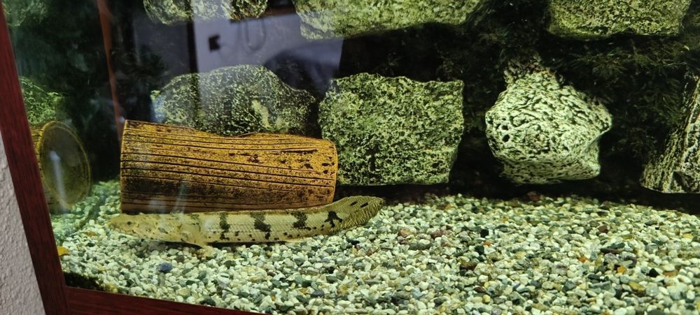 Продаю аквариум 200л