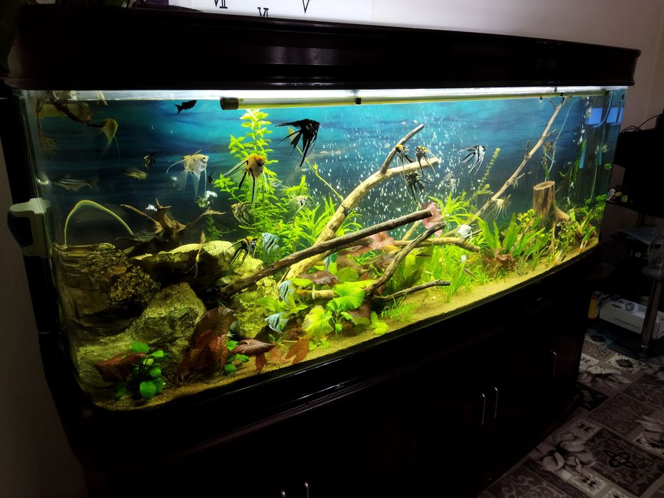 Заводской аквариум