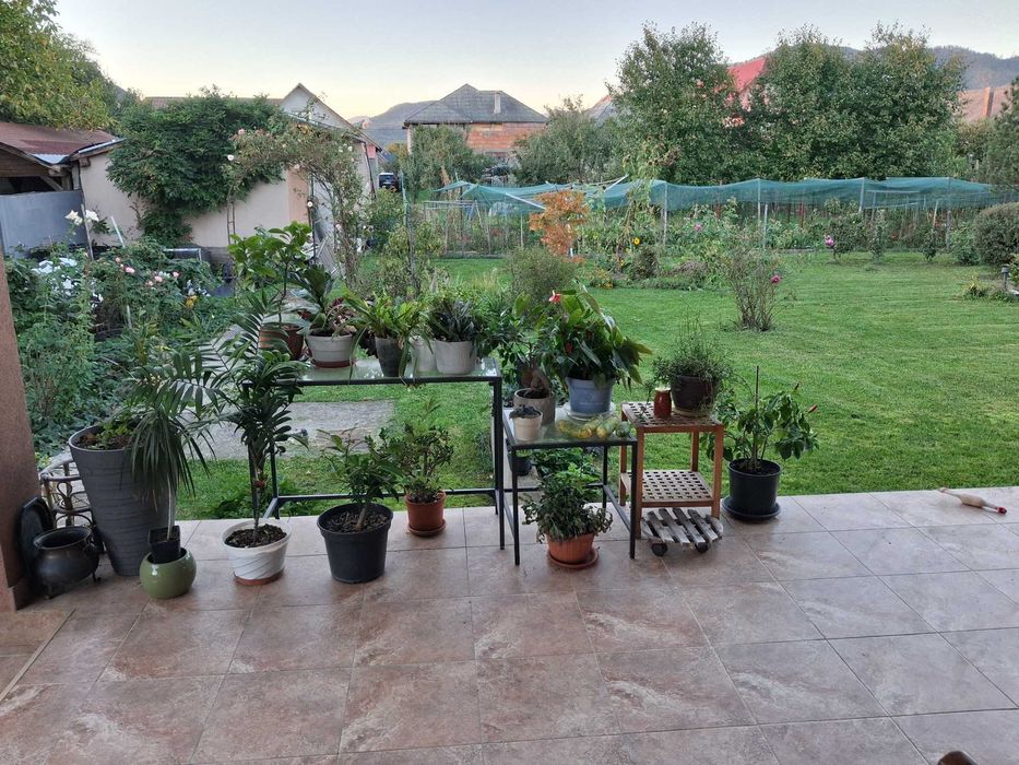 Casa deosebita,solida, sat Sasar, jud Maramures, zona vamii, 10 ari