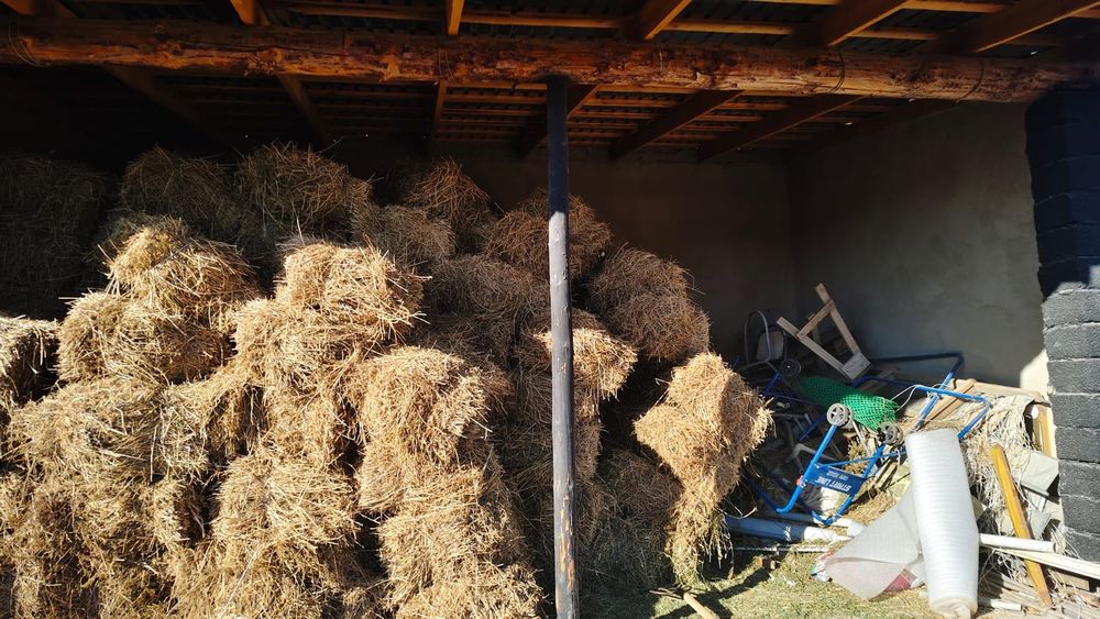 жонышка, пресс шоп.